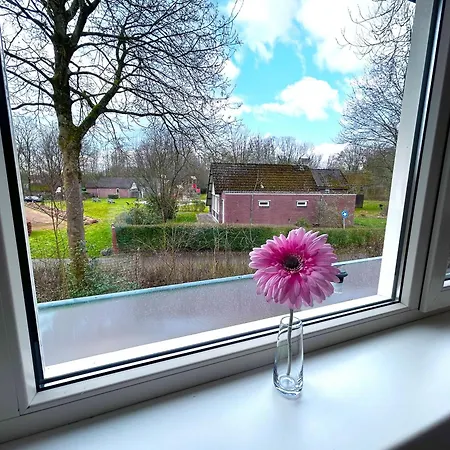 度假居 Bungalowpark - Delta 128 *